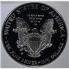 Image 3 : 1994-P AMERICAN SILVER EAGLE, NGC PF69 ULTRA CAMEO