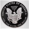 Image 3 : 2013 AMERICAN SILVER EAGLE PCI PERFECT GEM PROOF