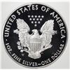 Image 3 : 2016-W AM. SILVER EAGLE, PCI PERFECT GEM PROOF