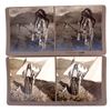 Image 11 : Flathead Indian Stereoview Collection by Forsyth