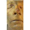 Image 2 : Severed Zombie Head B Grade Life Sized Movie Prop