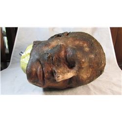 Severed Zombie Head C Grade Life Sized Movie Prop