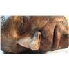 Image 3 : Severed Zombie Head C Grade Life Sized Movie Prop