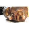 Image 4 : Severed Zombie Head C Grade Life Sized Movie Prop