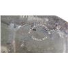 Image 4 : Montana Silversmiths Bullrider Belt Buckle
