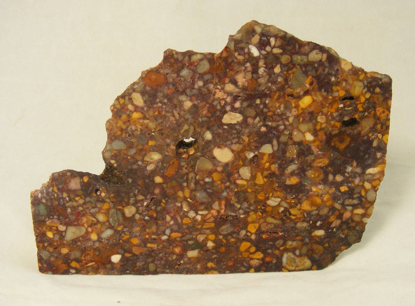 Pudding Stone Slab from South Dakota