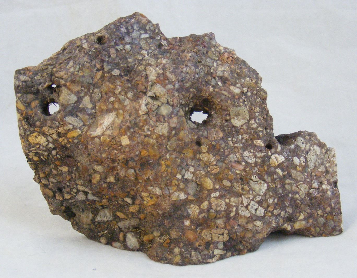 Pudding Stone Slab from South Dakota