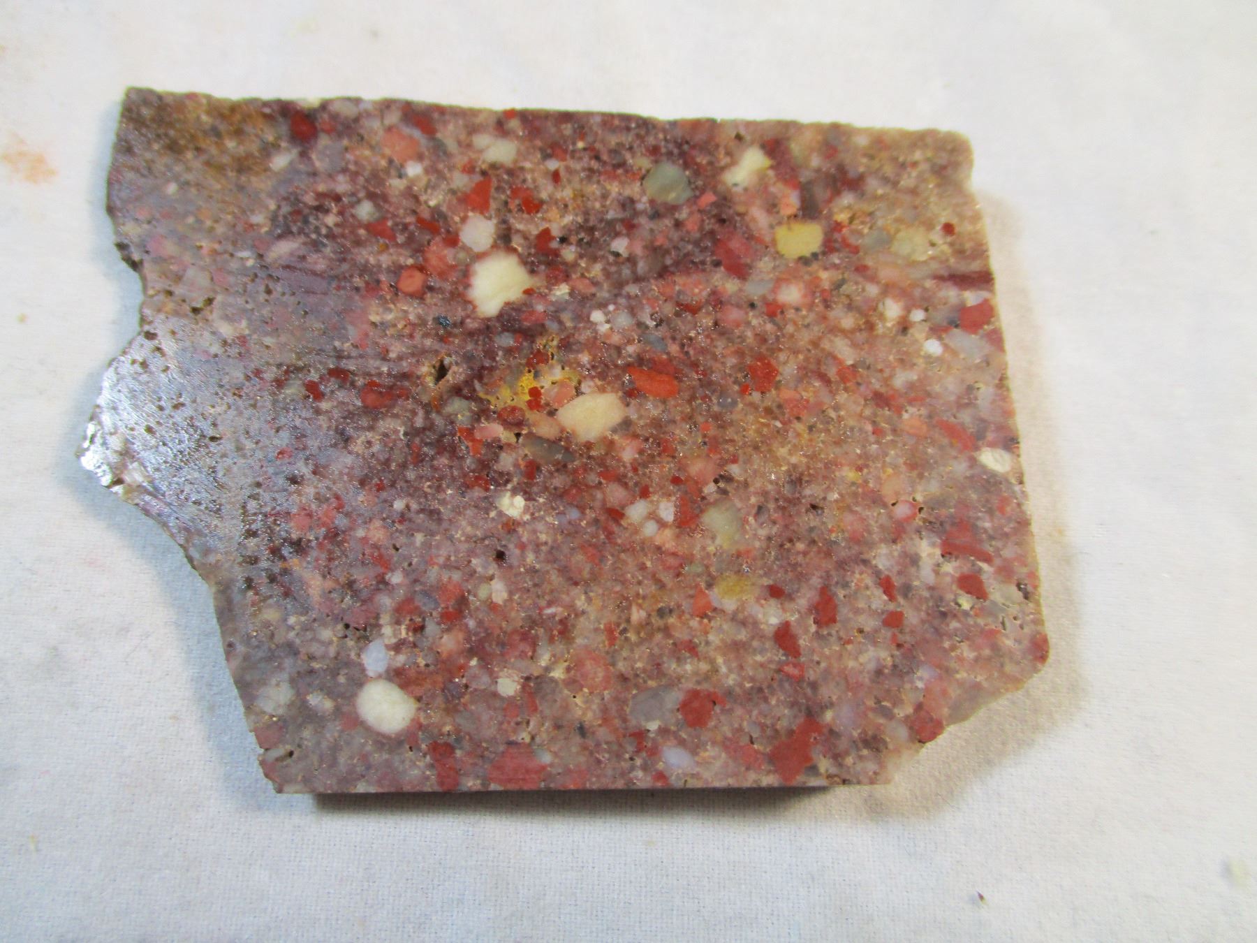 Pudding Stone Slab from South Dakota