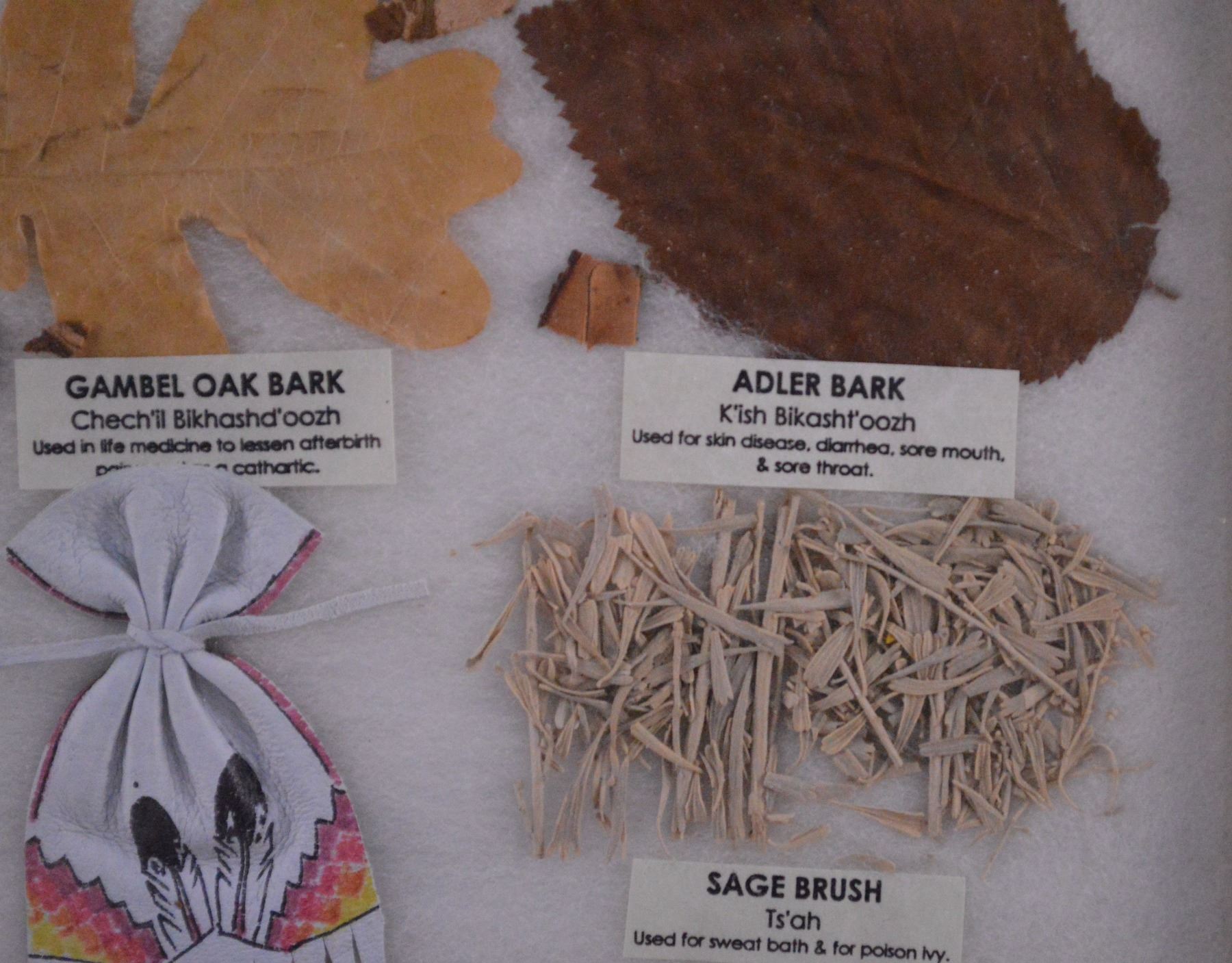 NAVAJO MEDICINE CHART BY ARLETTA HENDERSON