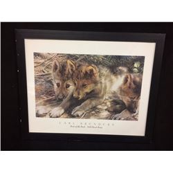 CARL BRENDERS  PICK OF THE PACK MILL POND PRESS) FRAMED PHOTO