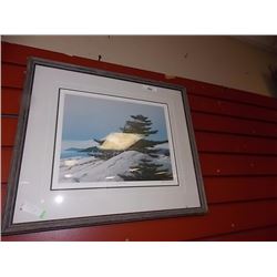 LIMITED EDITION PICTURE - SIGNED