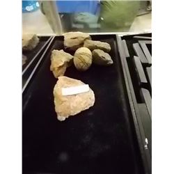 COLLECTORS ROCKS & WOOD EGG - 6 pc TTL