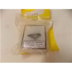 GENUINE DINOSAUR ARTIFACTS - 70 MILLION YEAR OLD DINOSAUR EGG SHELL - OVIRAPTOR