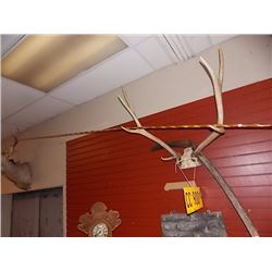 WALL FOUNTAIN - NO PUMP