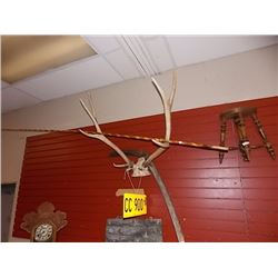 LARGE MOUNTED DEER ANTLERS WITH TICKET NUMBER AND BULLET SHELL