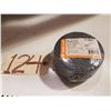 Image 1 : Walter Scotch-Brite Sanding Disc 4''1/2