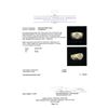 Image 5 : 0.74 ctw Diamond Ring - 14KT Yellow Gold