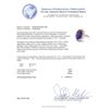 Image 1 : 6.97 ctw Amethyst and Diamond Ring - 14KT White Gold