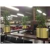 Image 2 : 3 LARGE POTTED PLANTS