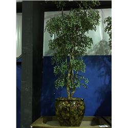 APPROX 6  TALL SILK TREE WITH FLORAL PATTERN PLANTER