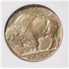 Image 3 : 1915 BUFFALO NICKEL, PCSS GEM BU