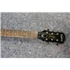 Image 2 : EPIPHONE JUNIOR MODEL ELECTRIC GUITAR #11041306663