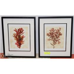 SET OF 2 PICTURES FRAMED