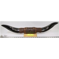 BULLHORNS MOUNTED