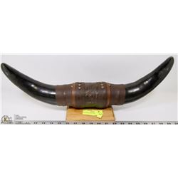 BULLHORNS MOUNTED