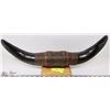 Image 1 : BULLHORNS MOUNTED