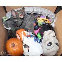 HALLOWEEN BOX INCL BATS, HATS, RATS & MORE