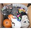 Image 1 : HALLOWEEN BOX INCL BATS, HATS, RATS & MORE