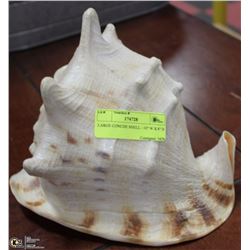 LARGE CONCHE SHELL - 10" W X 8" H