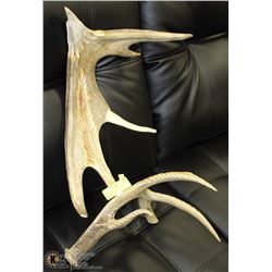 NATIVE ART EAGLE ANTLER CARVING SIGNED