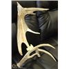 Image 1 : NATIVE ART EAGLE ANTLER CARVING SIGNED
