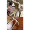 Image 5 : NATIVE ART EAGLE ANTLER CARVING SIGNED