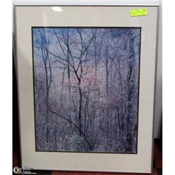 SCENIC FRAMED WOODS PICTURE (30"X24")