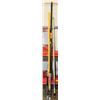 Image 1 : 2 PAINTERS POLES SOLD WITH A PRUNER AND RIDGID