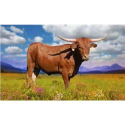 DONATION LOT - DC ROLL CALL