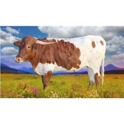 ALLEN'S FEATHER DANCER