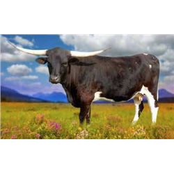 BR JAM GONNA BE ALRIGHT