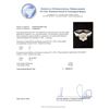 Image 5 : 0.75 ctw Diamond Ring - 14KT White Gold