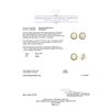 Image 5 : 2.00 ctw Diamond and Mabe Pearl Earrings - 14KT Yellow Gold
