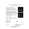 Image 3 : 21.77 ctw Rubellite And Diamond Earrings - 18KT Rose Gold