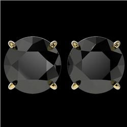 4 CTW Fancy Black VS Diamond Solitaire Stud Earrings 10K Yellow Gold - REF-96Y9N - 33136