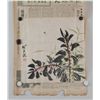 Image 2 : He Xiangning 1878-1972 Chinese Watercolour Paper