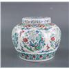 Image 1 : Chinese Doucai Porcelain Jar with Chenghua Mark