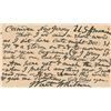 Image 1 : Walt Whitman