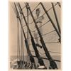 Image 1 : Mutiny on the Bounty: Clark Gable