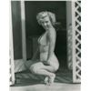 Image 1 : Marilyn Monroe